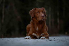 WhatsApp-Image-2025-12-26-at-21.05.582