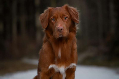 WhatsApp-Image-2025-12-26-at-21.05.583