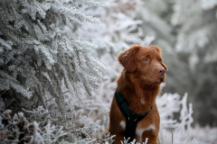 WhatsApp-Image-2025-12-26-at-21.06.57