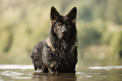 WhatsApp-Image-2025-11-18-a-20.56.17_0558c959