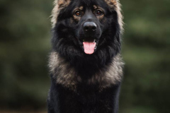 WhatsApp-Image-2025-11-18-a-20.56.17_1021a2da