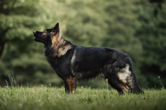 WhatsApp-Image-2025-11-18-a-20.56.17_6a789915