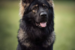 WhatsApp-Image-2025-11-18-a-20.56.17_f67c8f8b