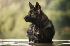 WhatsApp-Image-2025-11-18-a-20.56.18_b5662975