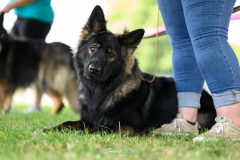 WhatsApp-Image-2025-11-18-a-21.09.13_22f42518