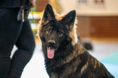 WhatsApp-Image-2025-11-18-a-21.09.13_324d6904