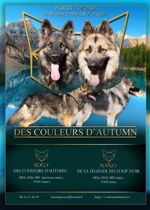affiche solly et Naiko 2023 image