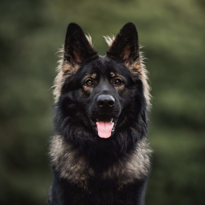 WhatsApp Image 2025-11-18 à 20.56.17_1021a2da WhatsApp Image 2025-11-18 à 20.56.17_1021a2da