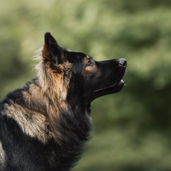 WhatsApp Image 2025-11-18 à 20.56.17_6a789915