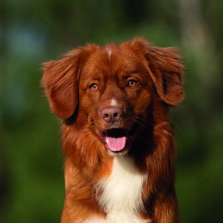 photo.89c745a74a9eeb06