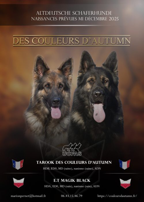 Tarook et Eat Tarook et Eat